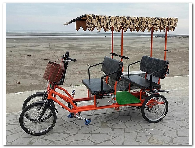 Electric Surrey Bike for 4 person
