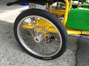 MAXXIS Bike Tires